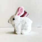 White Bunny